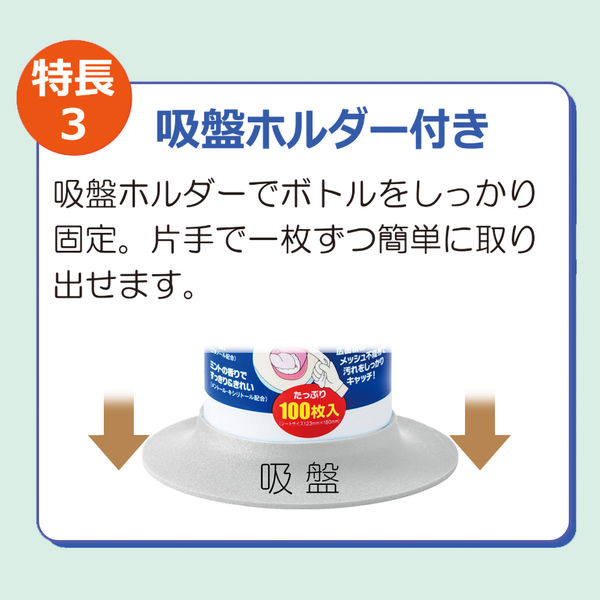 竹虎 ピレン口腔ケアウェットシート 005561 1個（100枚入