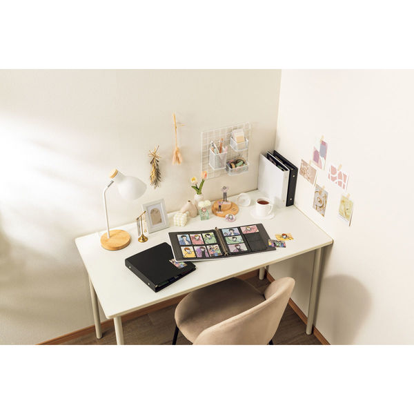 ライオン事務器 コレクション用バインダー BD-520 ホワイト 168 ライオン事務器 コレクション用バインダー BD-520 ホワイト 168
