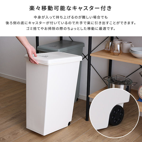 ホームテイスト スライドオープンタイプ ゴミ箱 45L 幅270×奥行