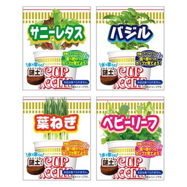 日清食品 カップヌードル定番3種詰合せセット＋野菜栽培セット4