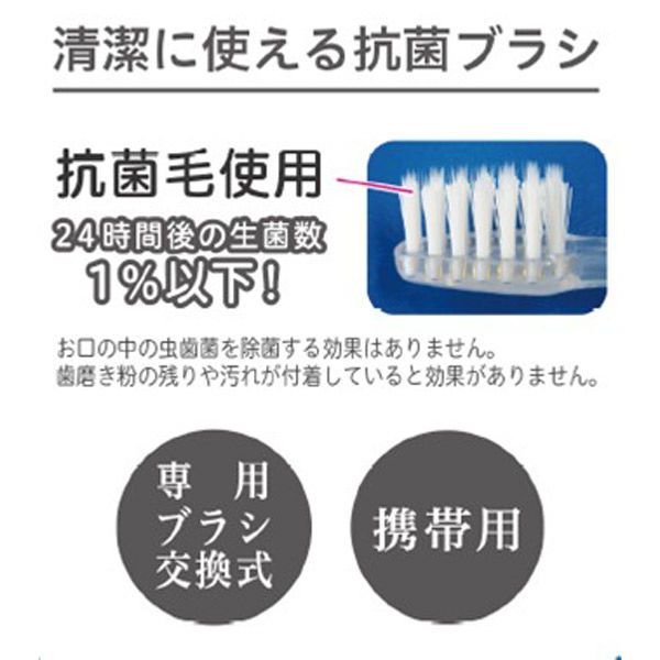 アイオニック 携帯用電動歯ブラシ イオンパ IONPA 赤 替えブラシ2本付 乾電池式 DM-011RD 1台