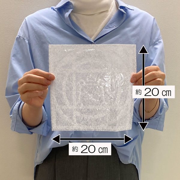 限定）フィルたん パッと貼るだけ ホコリとりフィルター 換気扇