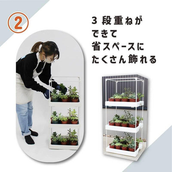 第一ビニール 多肉マンション 観葉/多肉植物用ゲージ 4968438026015 1箱(5個入)（直送品） - アスクル