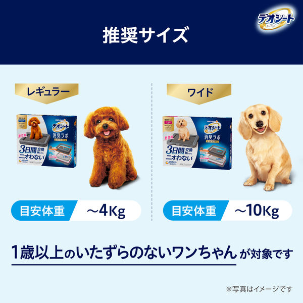 デオシート消臭ラボ 抗菌ドライフィルター ワイド 2枚 デオシート 消臭ラボ トイレシステム 抗菌ドライフィルター