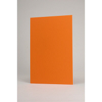 プラチナ万年筆　カラーパネル　A1　オレンジ　8002207　（取寄品）