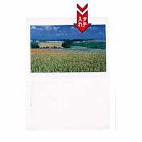 プラス　クリアーファイル（差替式）用リフィル　2ポケット　87507　1袋（10枚入）　（直送品）