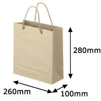 ナチュラルカラー手提袋　丸紐　ベージュ　S　1箱（100枚：5枚入×20袋）　スーパーバッグ オリジナル