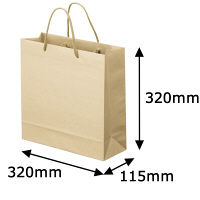 ナチュラルカラー手提袋　丸紐　ベージュ　M　1箱（100枚：5枚入×20袋）　スーパーバッグ オリジナル