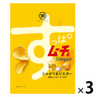 湖池屋 すっぱムーチョチップス じゃがうまビネガー 3袋 ポテトチップス スナック菓子