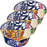 日清食品　日清のどん兵衛　かき揚げ天ぷらうどん　1セット（3食入）