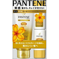 パンテーンエクストラダメージケア　デイリー補修トリートメント　トライアルセット（トリートメント70g＋シャンプー40ml+コンディショナー40g）