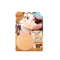 サナ 毛穴パテ職人 BBミネラルパウダー エンリッチ SPF40 PA+++ 常盤薬品工業