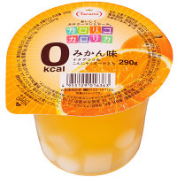 たらみ　カロリコカロリカ0kcalみかん味　290g　1個
