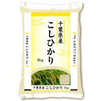 【精白米】千葉県産コシヒカリ 5kg 平成29年度産