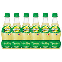 サントリー　レモンジーナ　420ml　1セット（6本）　サントリー