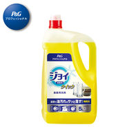 【お試し価格】P＆G　ジョイクイック　業務用5L