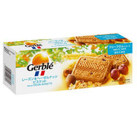 Gerble（ジェルブレ）　レーズン＆ヘーゼルナッツビスケット　1箱（5枚×4袋入）　大塚製薬　栄養補助食品