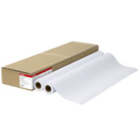 アスクル プロッタ用紙 ロール紙 カラーコート紙A1 1箱（2本入