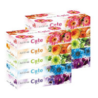 ティッシュペーパー　160組（5箱入）　1セット（2パック）　エリエールキュート　大王製紙