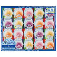 【アウトレット】片岡物産　セゾンデュフリュイ　凍らせてフルーツシャーベット　SS-50V　1箱（20個入）