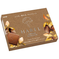 明治　ハレルリッチミルクチョコレート