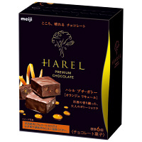 明治　ハレルプチガトー