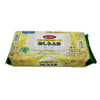 【アウトレット】介護の気持ちシリーズ　大人用おしりふき　厚手　森林の香り　70枚　デオマジック