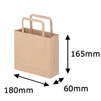 平紐クラフト紙手提袋薄型エコノミー 180×165×60 茶 1セット（100枚：50枚入×2袋）  オリジナル