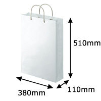 アスクル 樹脂カバー付き 手提げ紙袋 ホワイト LL 1セット（30枚：10枚入×3袋）  オリジナル