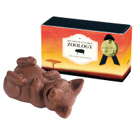 【アウトレット】スイートプラザ　ZOOLOGY　コブタ　1個