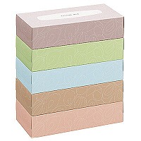 【アウトレット】アスクルオリジナルティッシュ　アルム　1ケース（60箱入）