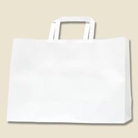 HEIKO　Hフラットチャームバッグ　340-1　白無地　3277205　1セット（200枚）