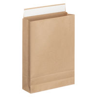 「現場のチカラ」 スーパーバッグ 宅配袋（紙製） 茶 中サイズ 封かんシール付 1パック（100枚入）  オリジナル