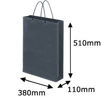 【アウトレット】アスクル　樹脂カバー付き　手提げ紙袋　ネイビー　LL　　1袋（10枚入）　　　 オリジナル