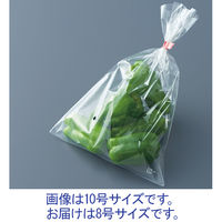 防曇（ボードン）袋 0.02mm厚 穴あり（4つ穴） 8号 1セット（1000枚：100枚入×10袋）