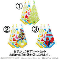 【アウトレット】ループ付きタオル おまかせ3枚アソートセット WD429200 1セット（3枚入） 林