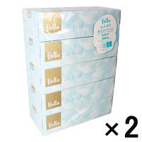 【アウトレット】ユニバーサル・ペーパー　ハローふわ凛ボックスティシュペーパー 120組（5個入） 1セット（2パック）