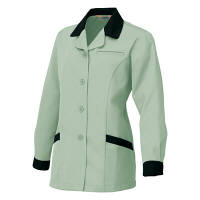 アイトス　レディース長袖スモック　アースグリーン 5L　AZ6366-005-5L　1着　（直送品）