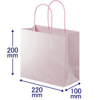 手提げ紙袋　丸紐　ブライトーンパールタイプ　パールローズ　M　1袋（10枚入）　スーパーバッグ  オリジナル