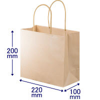 手提げ紙袋　丸紐　ブライトーンパールタイプ　パールアプリコット　M　1袋（10枚入）　スーパーバッグ オリジナル