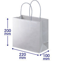 手提げ紙袋　丸紐　ブライトーンパールタイプ　パールグレー　M　1袋（10枚入）　スーパーバッグ  オリジナル