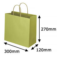 レザートーン手提袋　丸紐　グラスグリーン　L　1袋（10枚入）　スーパーバッグ  オリジナル