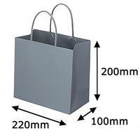 レザートーン手提袋　丸紐　クールグレー　M　1袋（10枚入）　スーパーバッグ  オリジナル