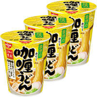 【アウトレット】日清のカリーうどん　1セット（3食）