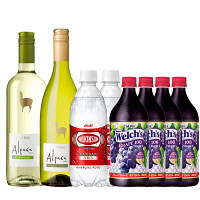 【まとめ買いでお得】アルパカ750ml×2本（ソーヴィニヨン・ブラン+シャルドネ・セミヨン）+ウィルキンソン炭酸500ml2本+ウェルチグレープ800ml4本