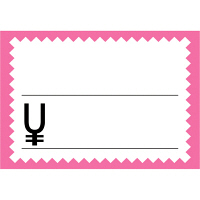 ササガワ タカ印 カード 中 ピンク枠 16-4369 1箱（50枚入×5冊）（取寄品）