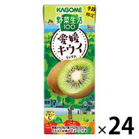 カゴメ 野菜生活100 愛媛キウイミックス 195ml 1箱（24本入）