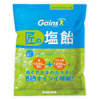 サラヤ Gains 匠の塩飴マスカット味 750g 4987696276048