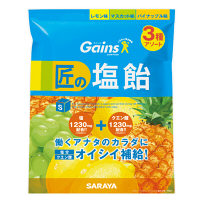 【アウトレット】サラヤ Gains 匠の塩飴3種アソート 1袋（750g）