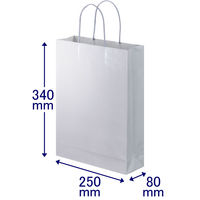 手提げ紙袋　丸紐　ブライトーンパールタイプ　パールグレー　L　1箱（90枚：10枚入×9袋）　スーパーバッグ  オリジナル